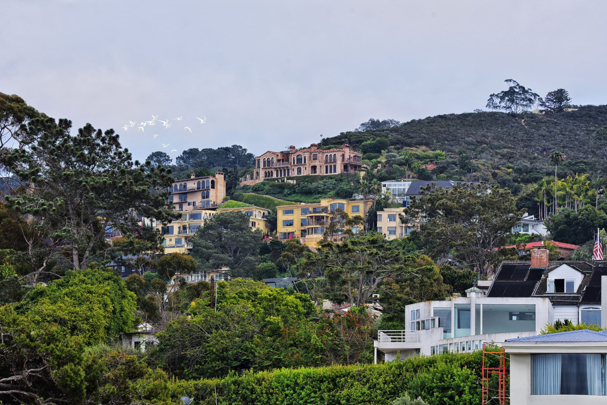 Charming hillside homes surrounded by lush greenery in San Diego, California, the kind of North County setting our movers work in around Rancho Bernardo, CA